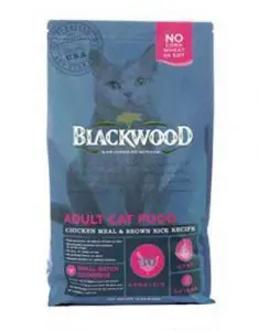 2. Makanan Kucing Dewasa Blackwood Hidangan Ayam & Makanan Kucing Kering Beras Perang [Ulasan] - Makanan Kucing Kering Tanpa Bijian Terbaik