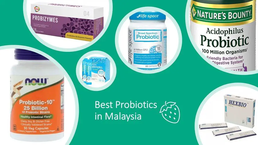 6 Best Probiotics in Malaysia 2021: Improve Digestive Health image