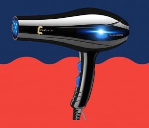 5. CANEL&CO Professional Blue Ray Ionic Hair Dryer Review image