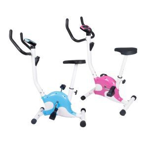 4. Home and Office Indoor Exercise Cycling Bike Review image