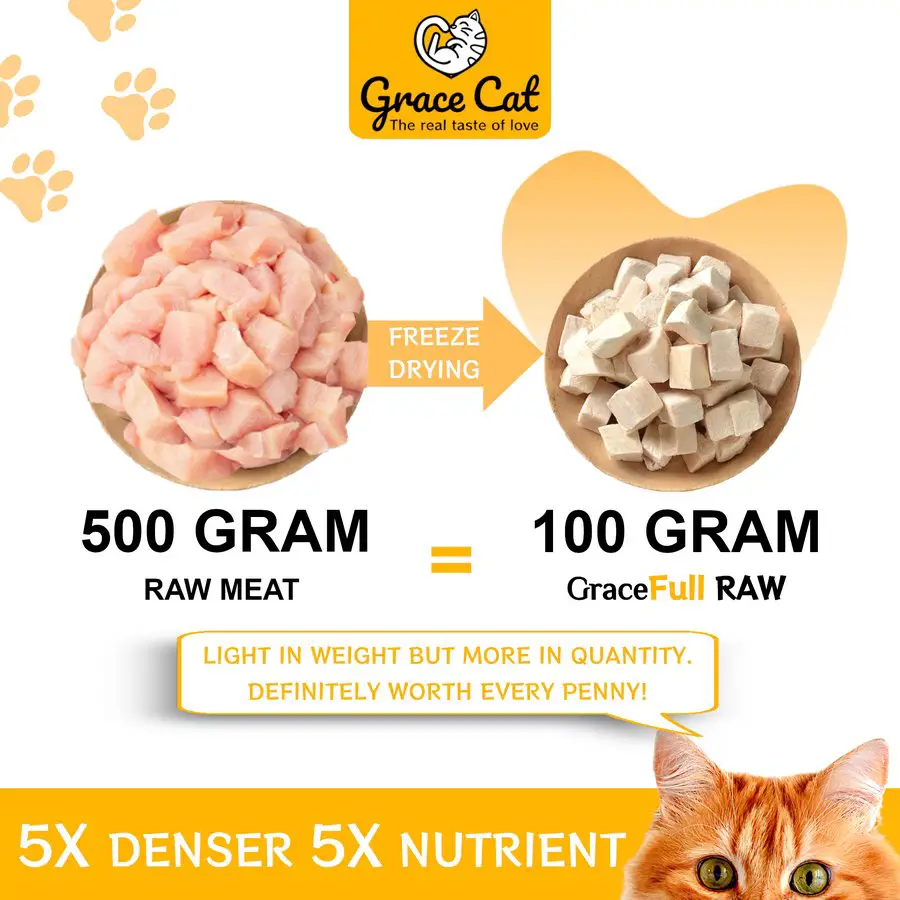 Makanan kucing beku-kering mempunyai 5 kali lebih banyak kandungan dan imej nutrien.