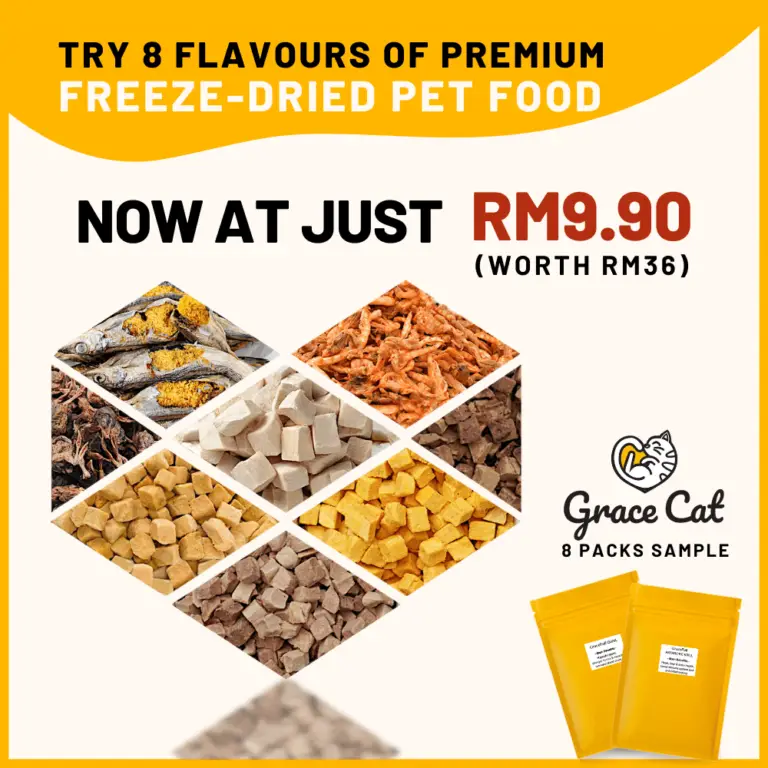 20 Kedai Makan di Kampung Baru Yang Sedap & Halal!