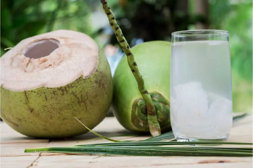 4. Air Kelapa (Coconut Water)