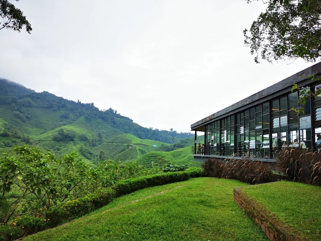 BOH Tea Centre