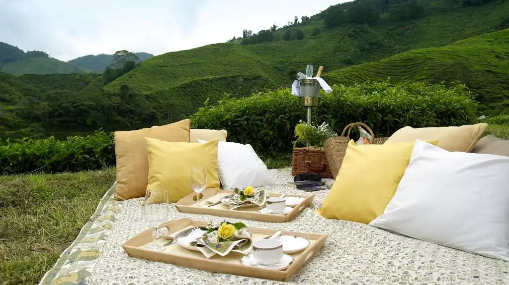 Best Luxury 5 Star Hotels in Cameron Highlands for Family Couple or Business Trip
