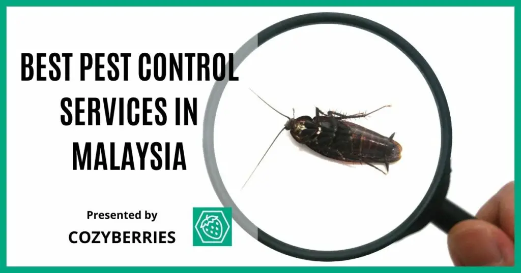 The Best Pest Control Services in Malaysia
