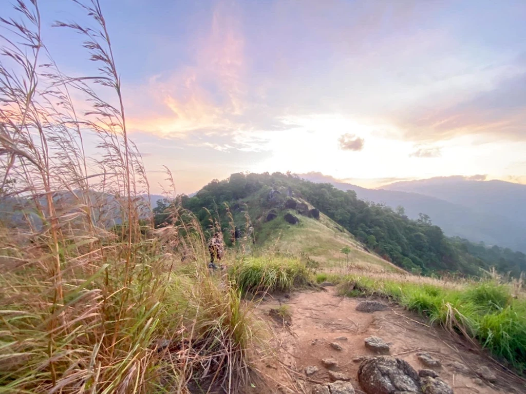 Broga Hill 3