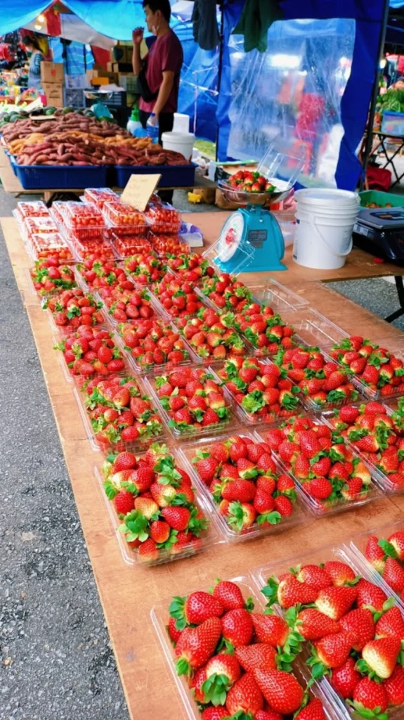 Cameron Highlands Night Market 10