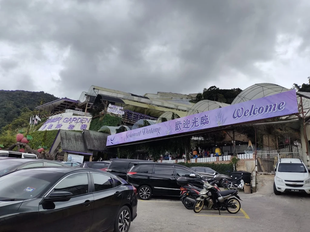 Pintu Masuk Taman Lavender Cameron