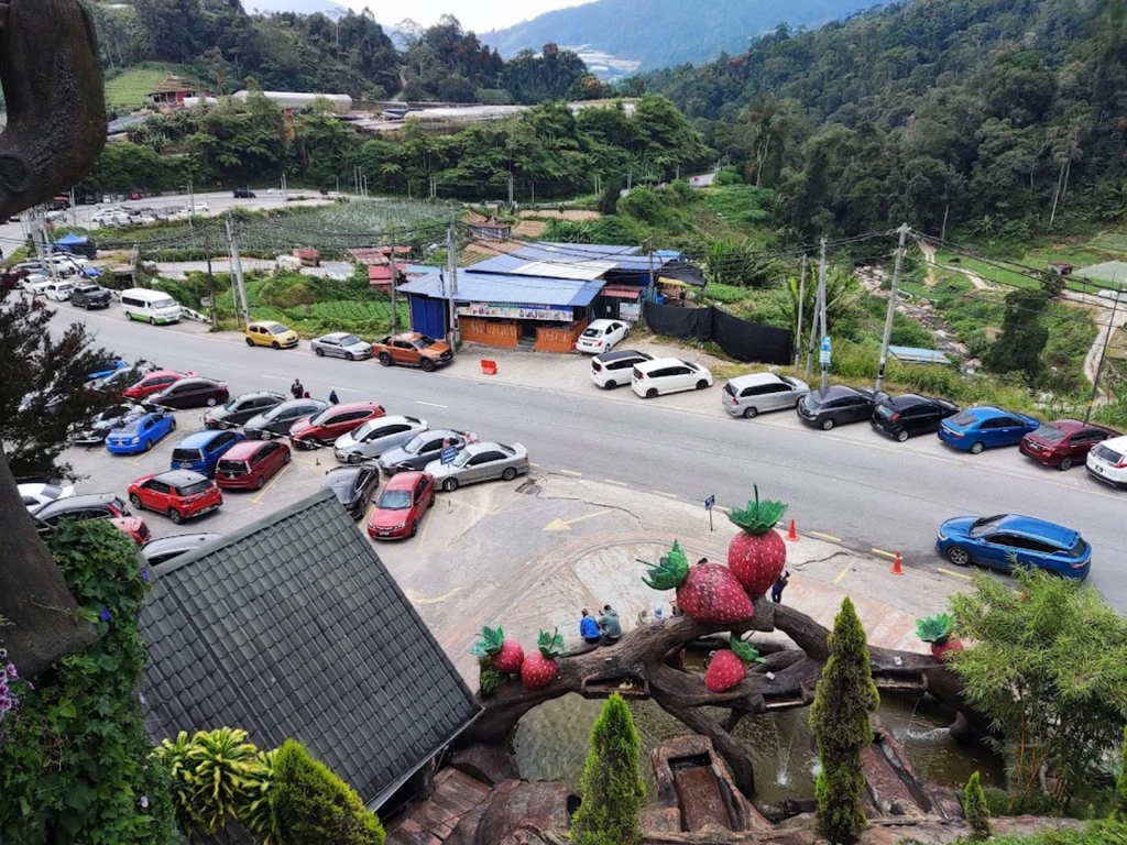 Tempat Letak Kereta Taman Lavender Cameron