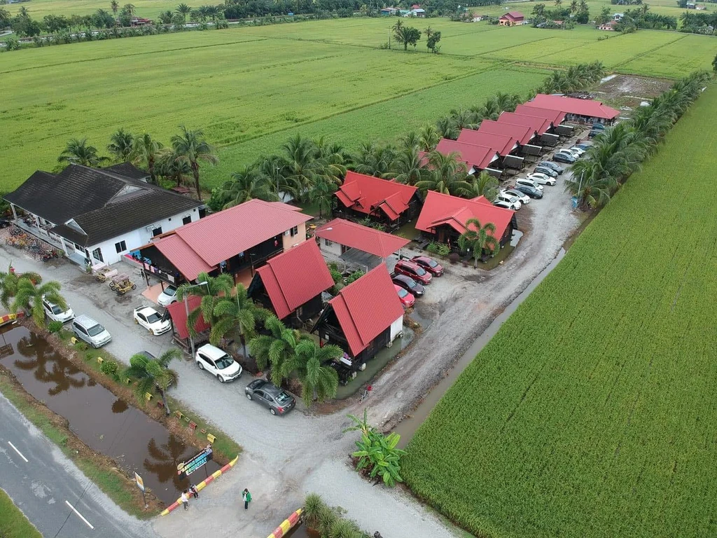 Dsawah Bendang Homestay - 14 Best Homestays in Sekinchan for Paddy Field View!