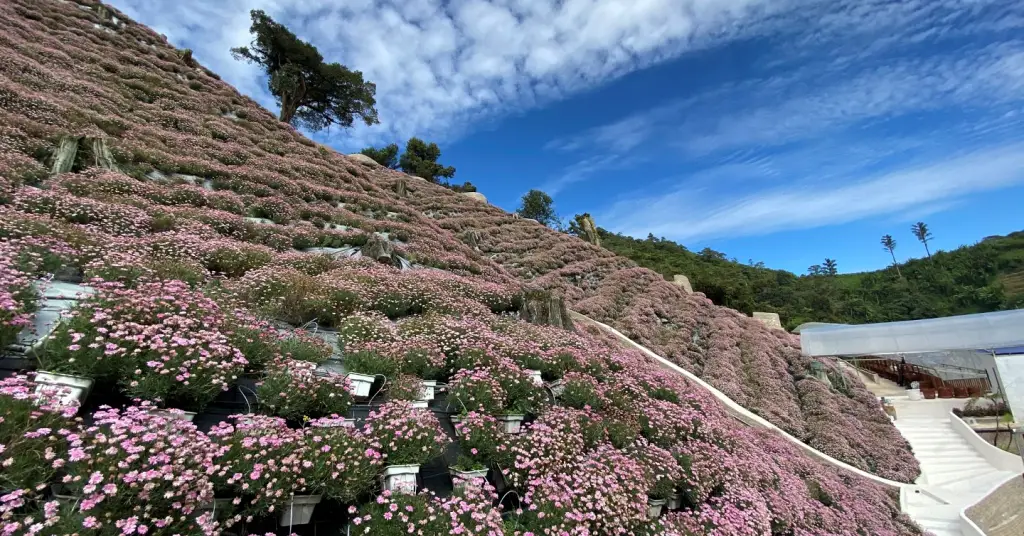 Cameron Highlands Flora Park Photos & Harga Tiket [Terkini]