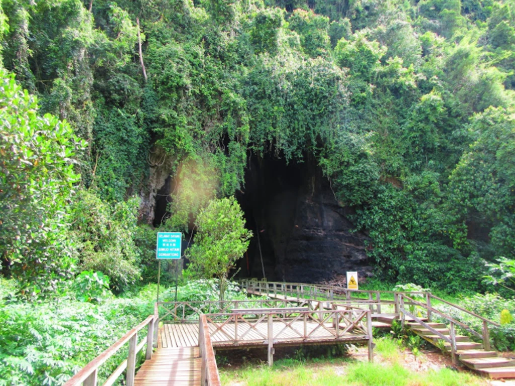 Gomantong Cave 2