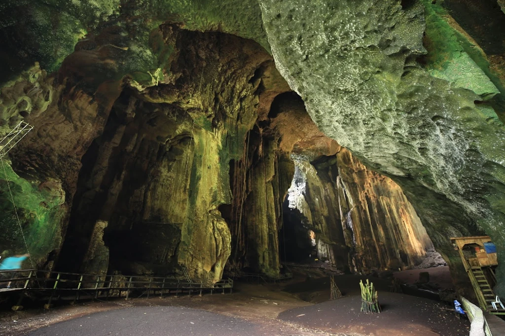 Gomantong Cave