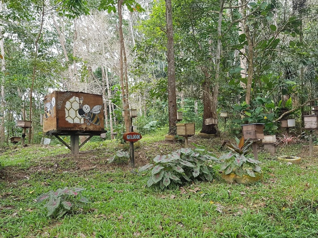 Ladang Lebah Madu Gombizau