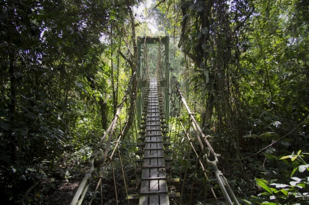 Taman Negara Gunung Mulu 2