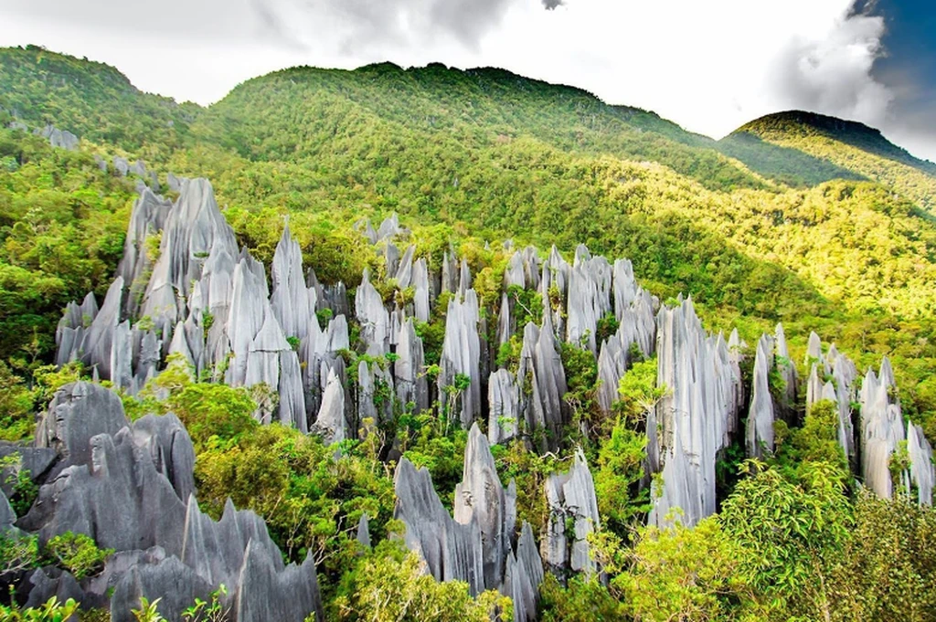 Taman Negara Gunung Mulu 3