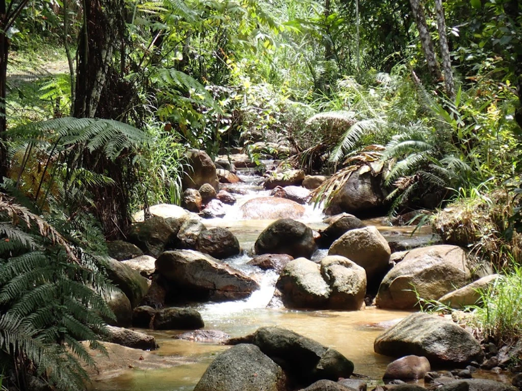 Air Terjun Jeriau