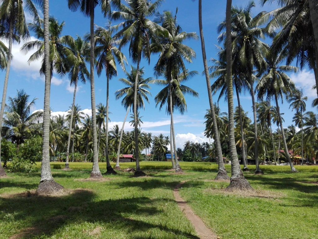 Kampung Agong Penang 13