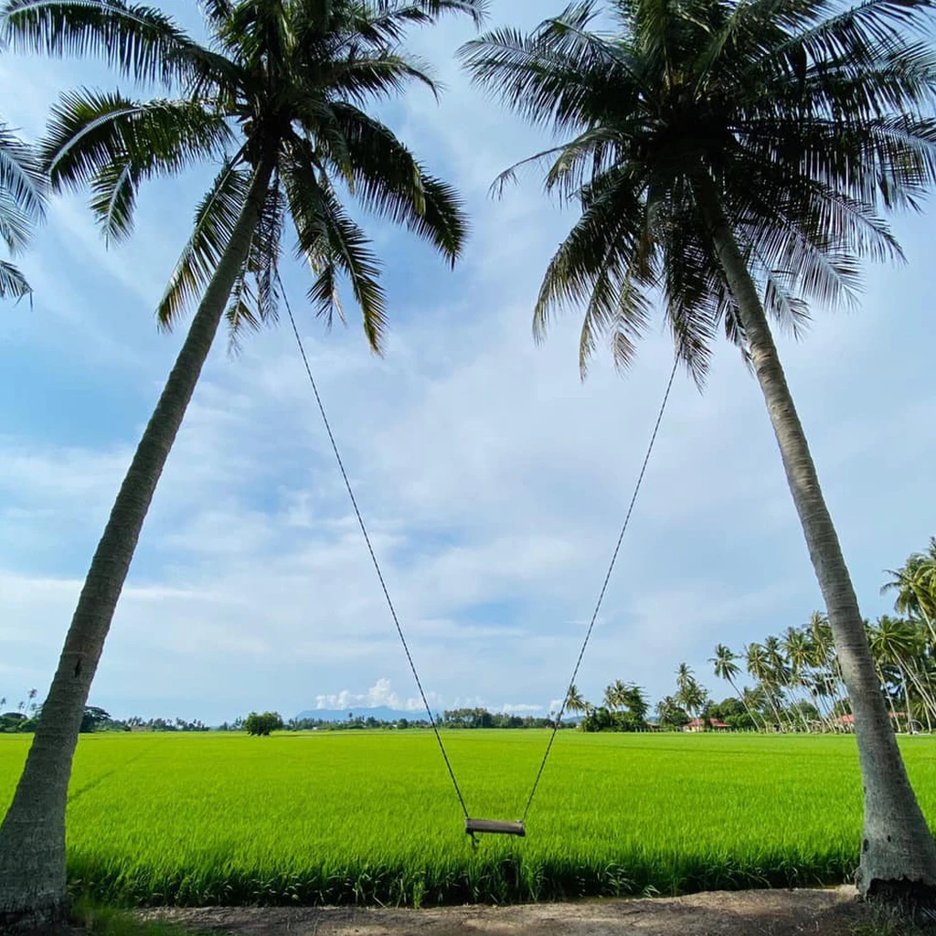 Kampung Agong Penang 5