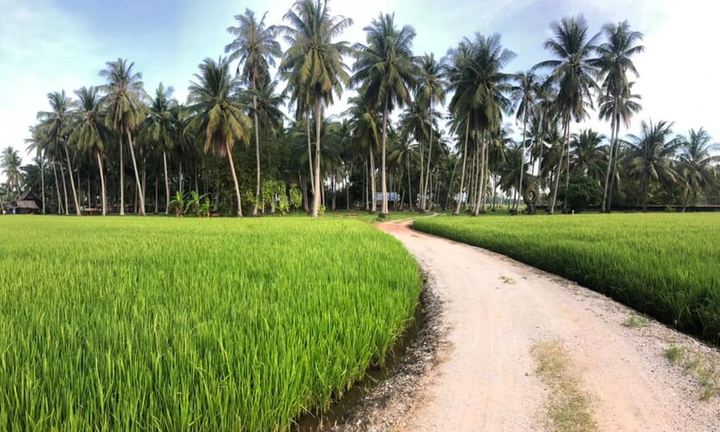 Kampung Agong Penang 6