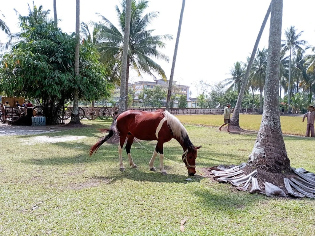 Kampung Agong Penang Horse