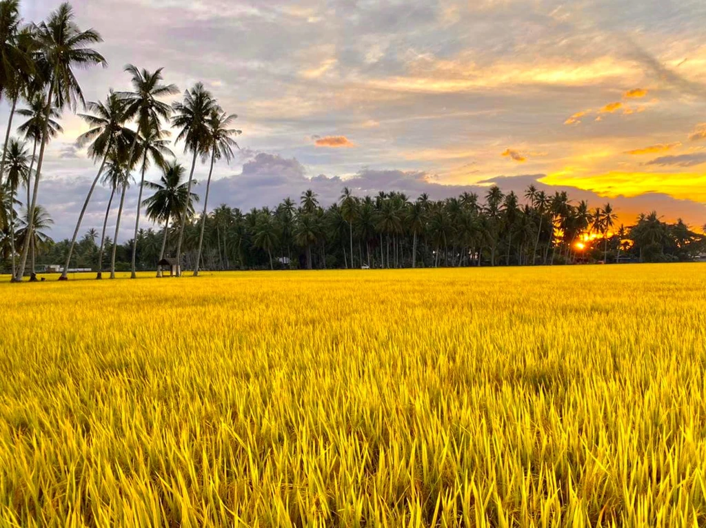 Kampung Agong Penang