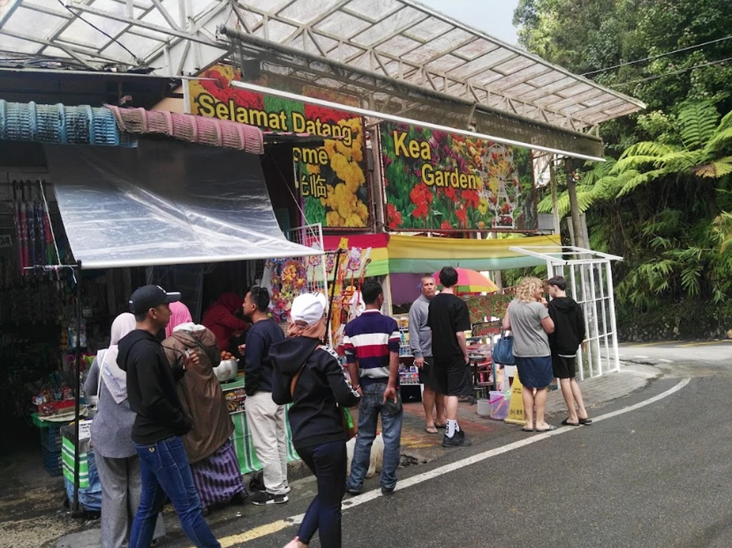 Kea Farm Market in Cameron Highlands 9