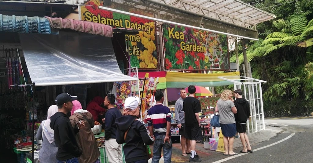 Kea Farm Market in Cameron Highlands Hotel Location Opening Hours