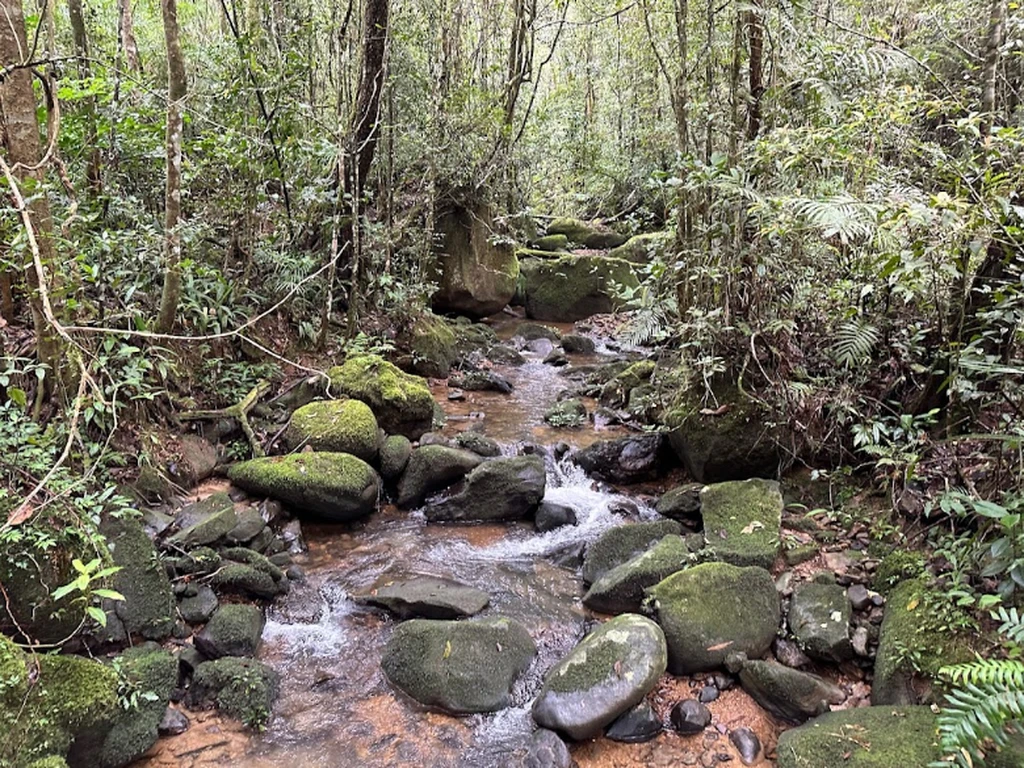 Taman Negara Kinabalu