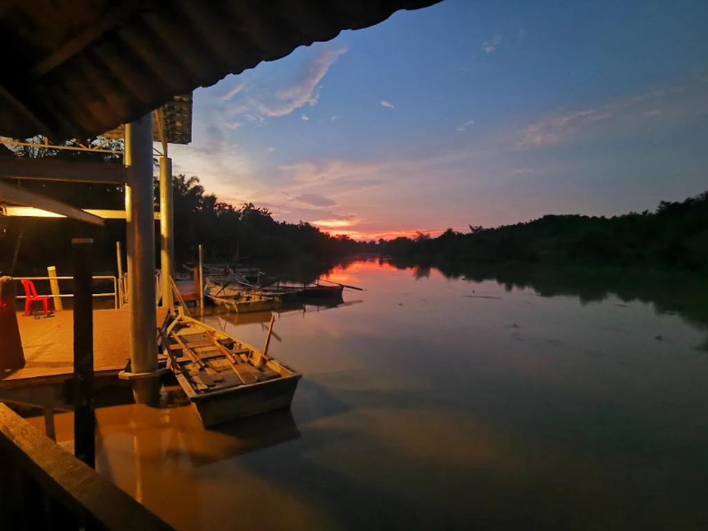 Kuala Selangor Fireflies Kampung Kuantan Firefly Park 2