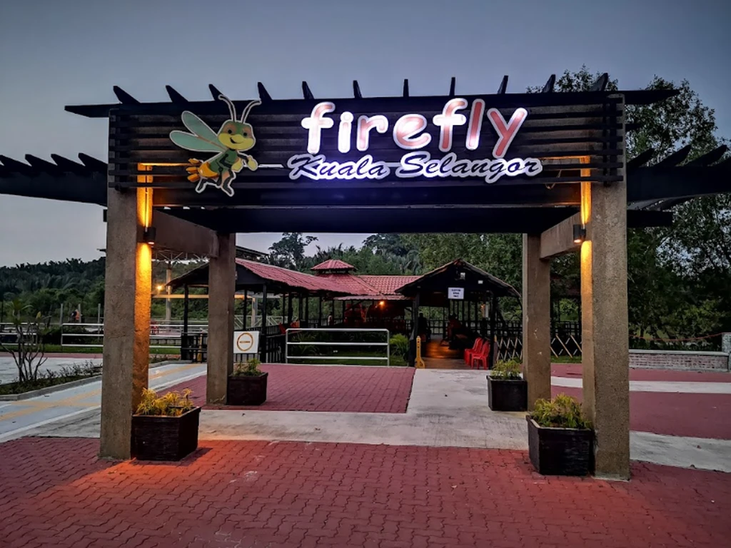 Kuala Selangor Fireflies Kampung Kuantan Firefly Park