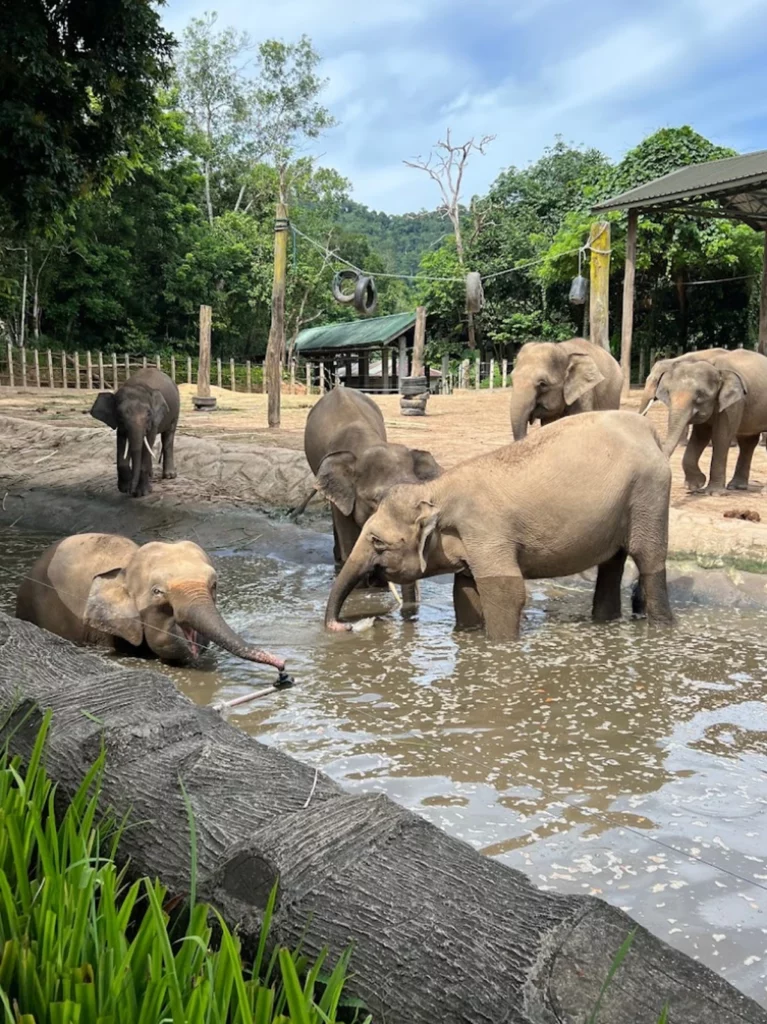 Lok Kawi Wildlife Park 2