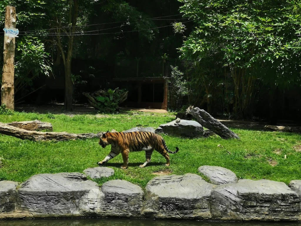 Lost World of Tambun 2