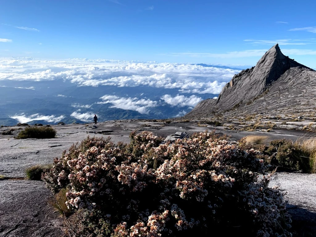 Gunung Kinabalu