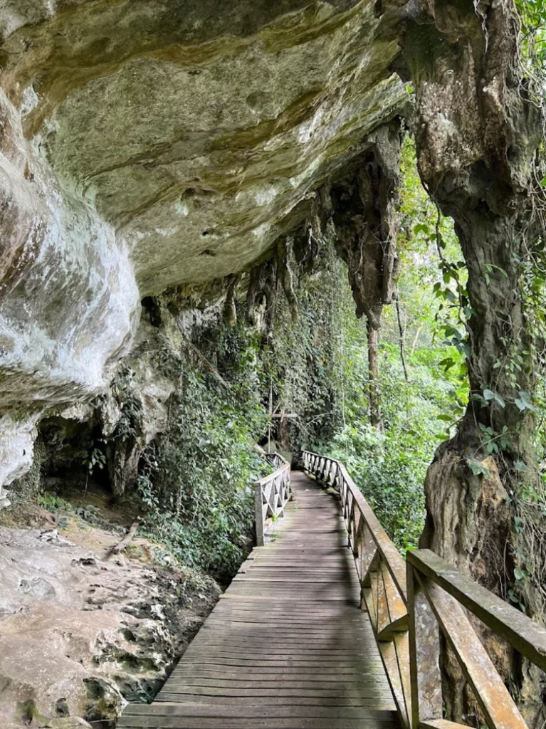 Niah Caves Gua Niah 2