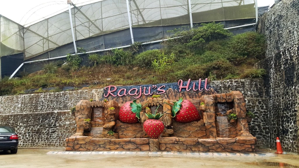 Rajus Hill Strawberry Farm
