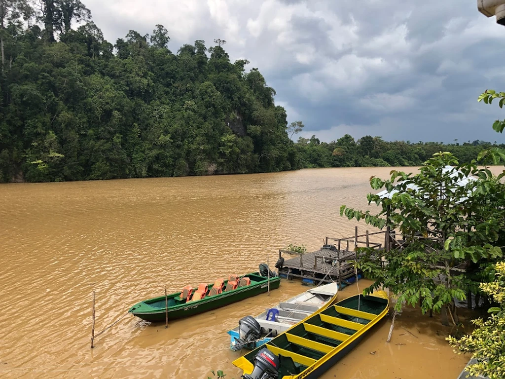 Sungai Kinabatangan Kinabatangan River