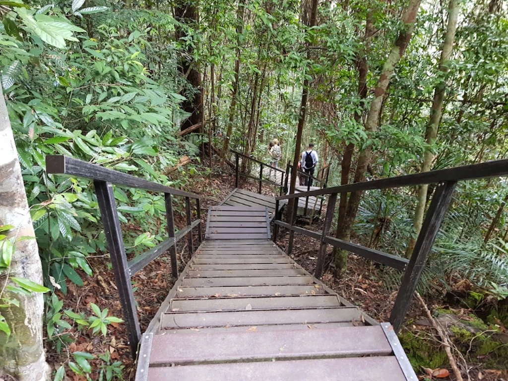 Taman Negara National Park