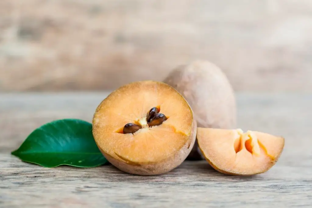 11. Ciku (Sapodilla Fruit)