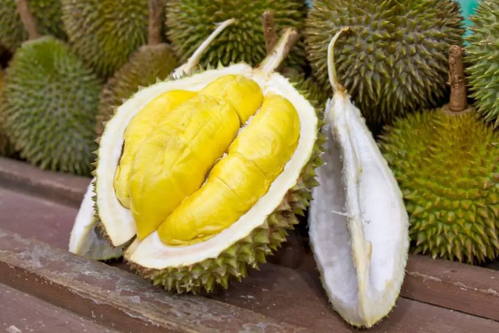 1. Durian (King of the Fruits in Malaysia)
