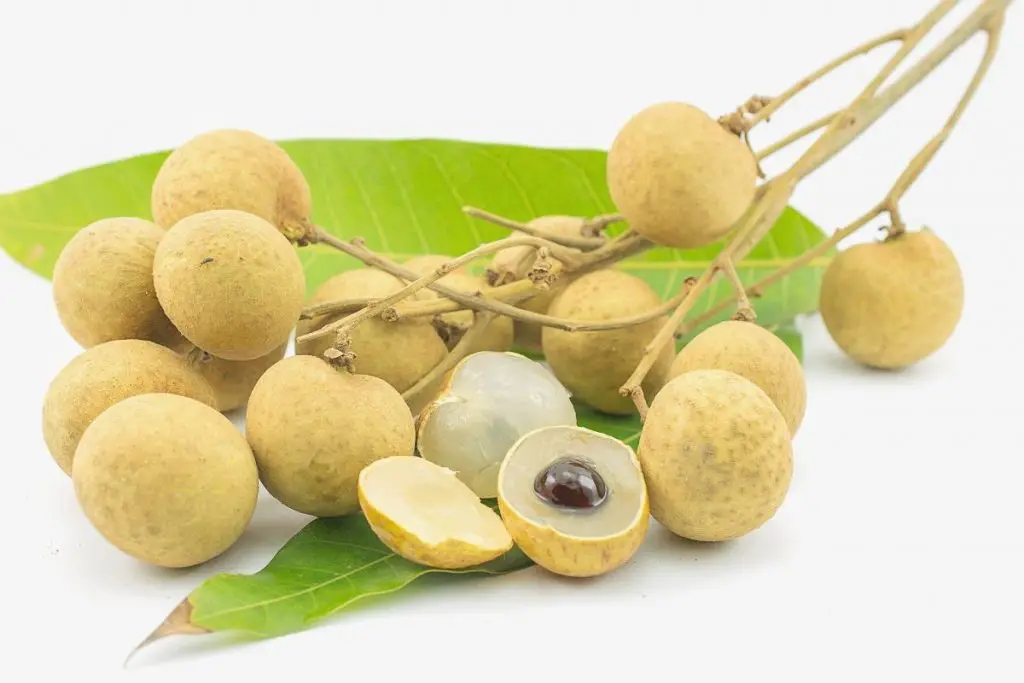 5. Longan (Mata Kucing)