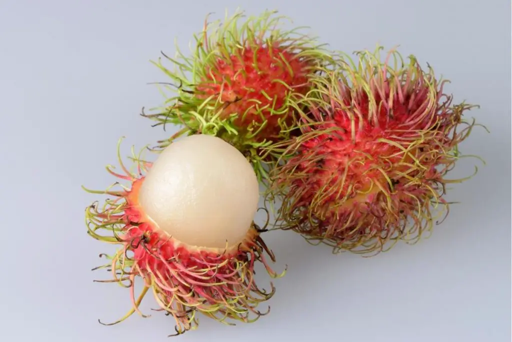 3. Rambutan